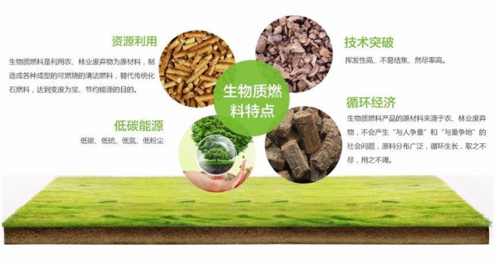 生物質(zhì)顆粒